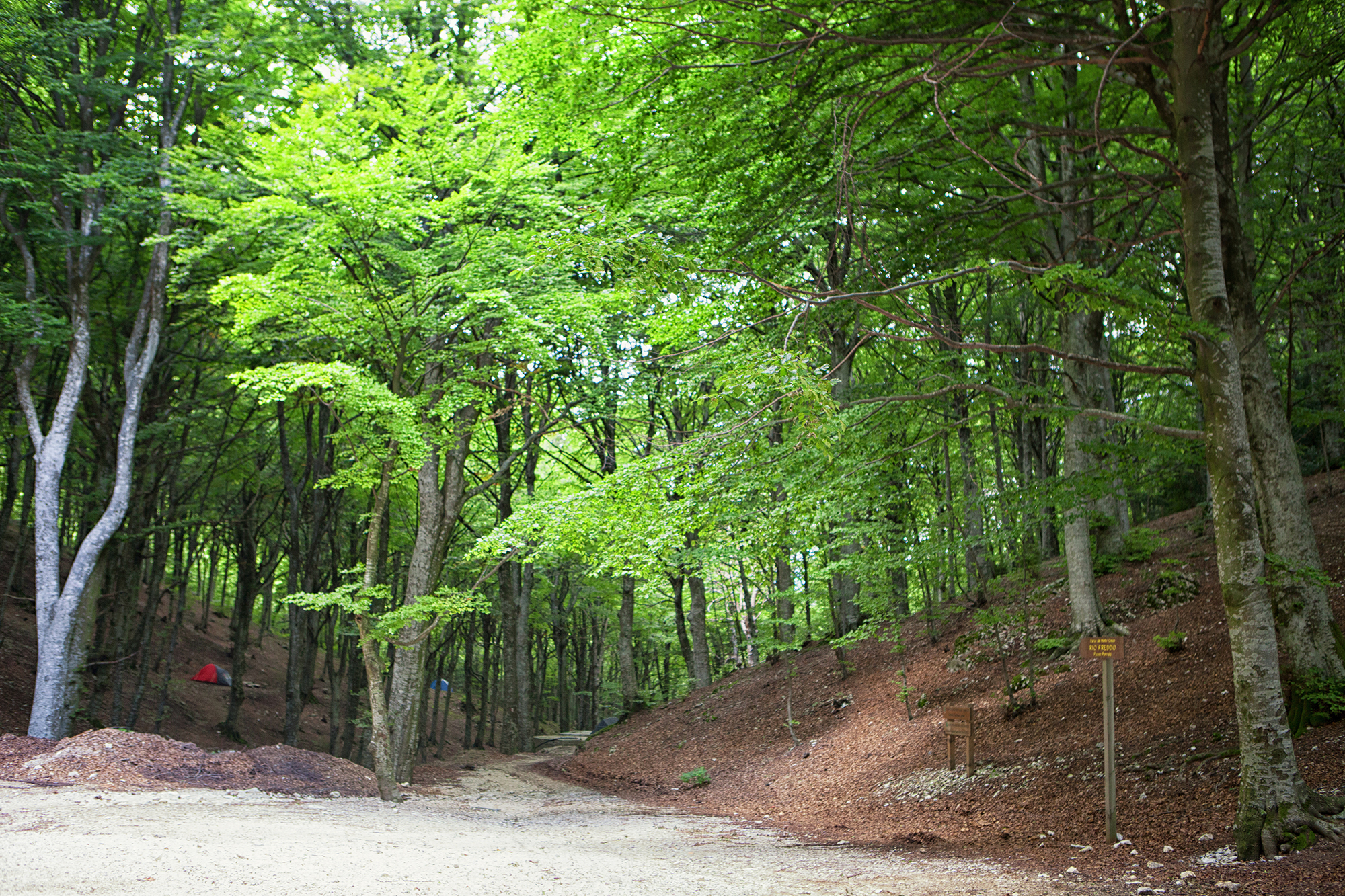 Mountain Biking to the Park of Monte Cucco