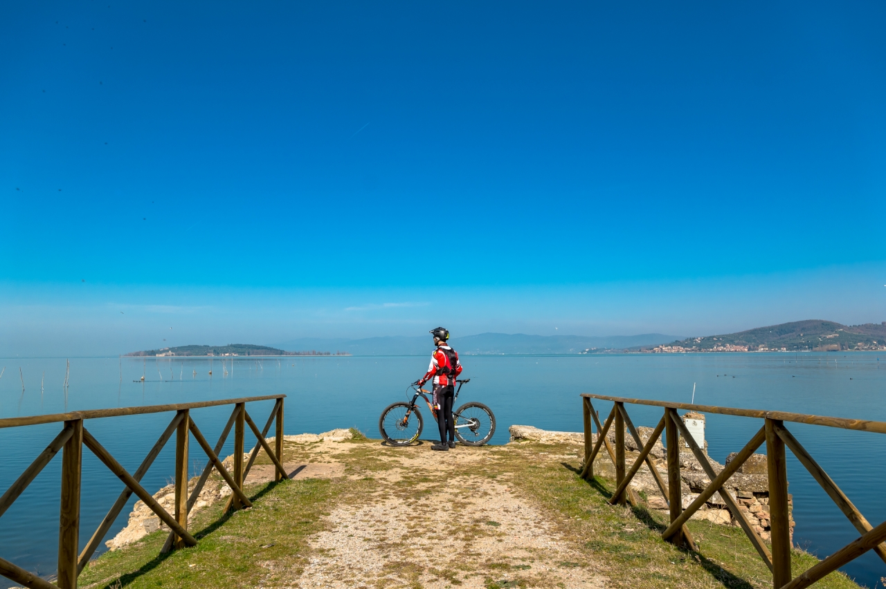 MTB - Woods and climbs on the hills of Lake Trasimeno