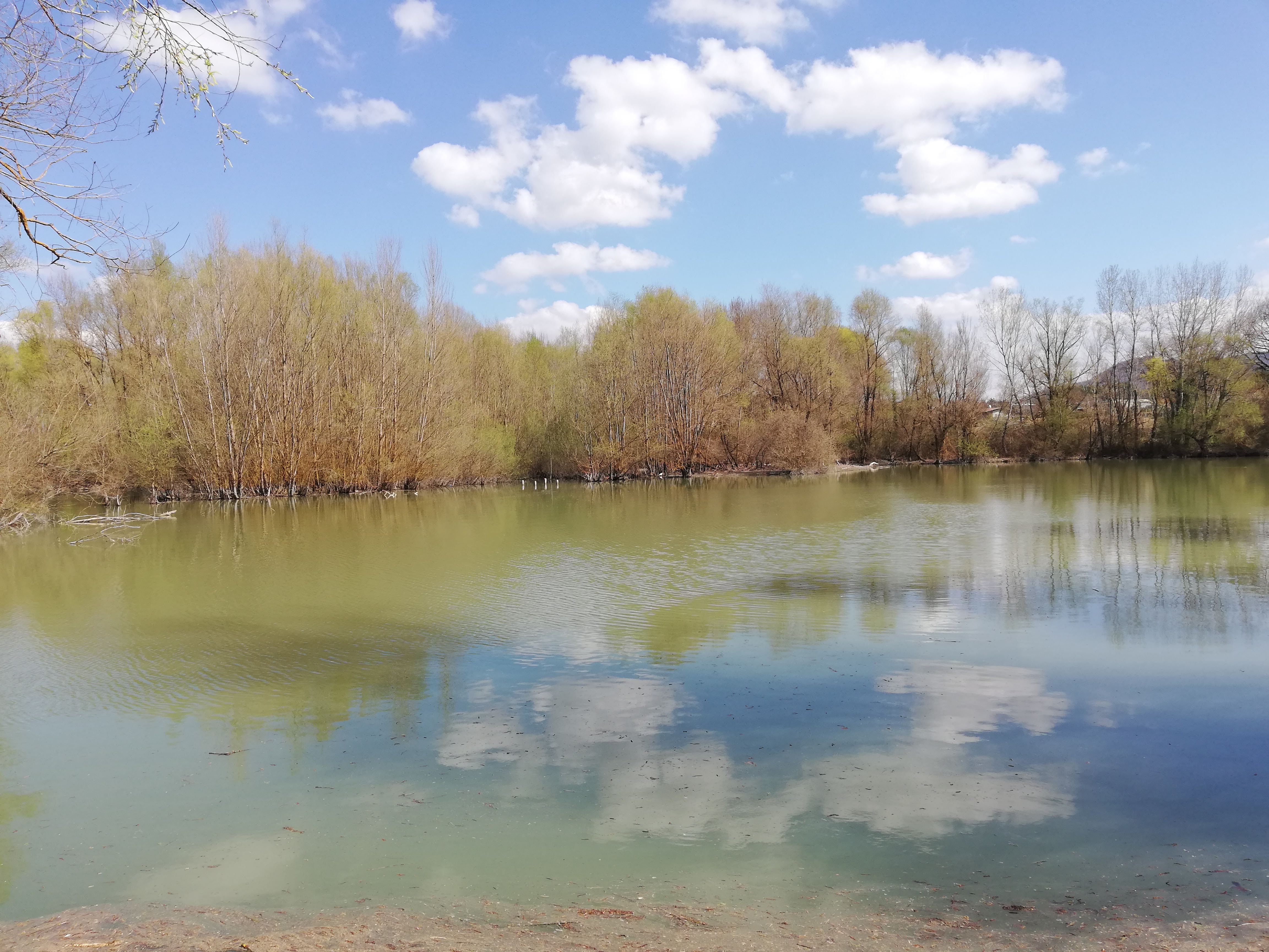Water surface of the river with trees in the background