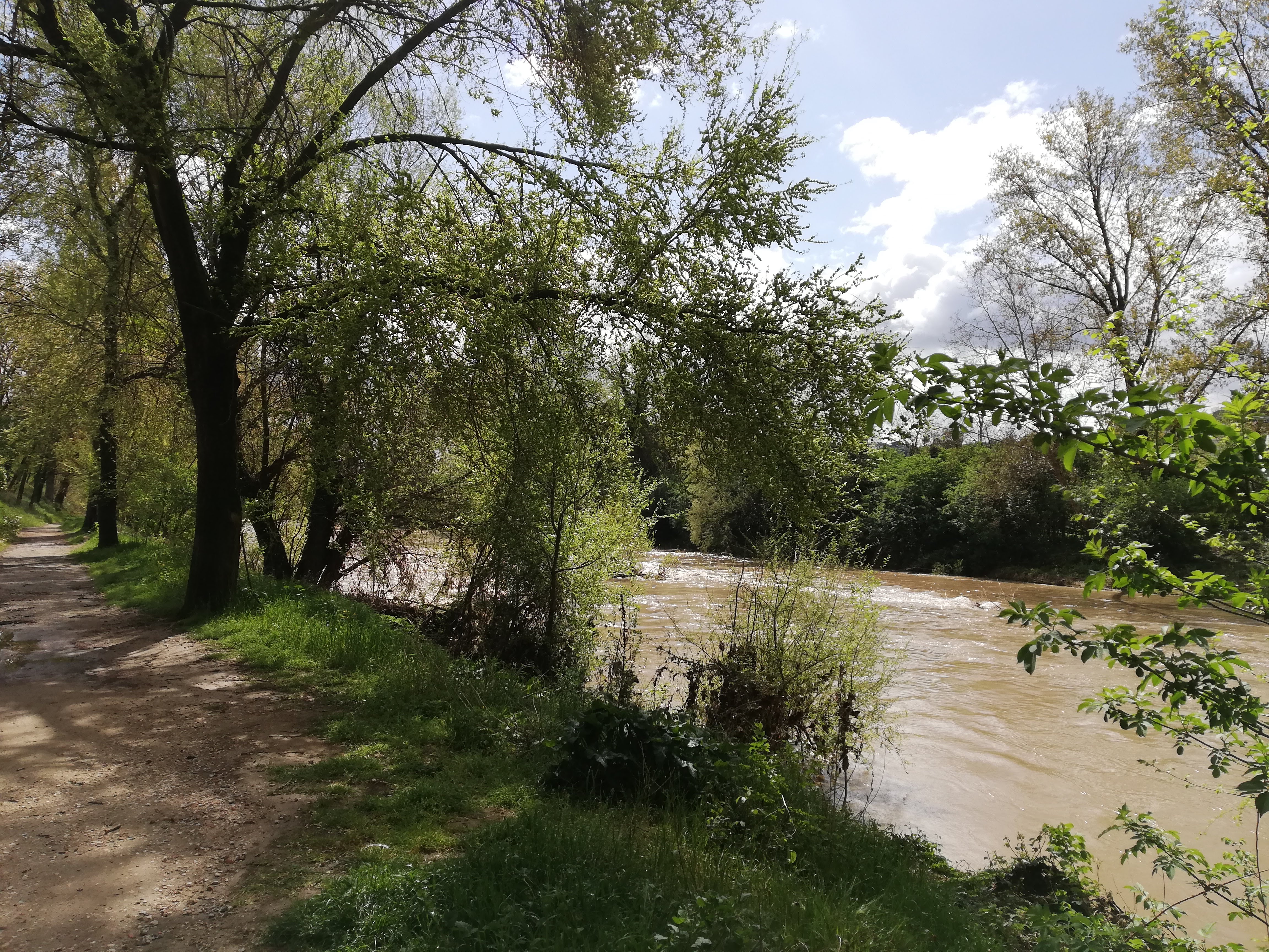 Riverbank with a cycling path