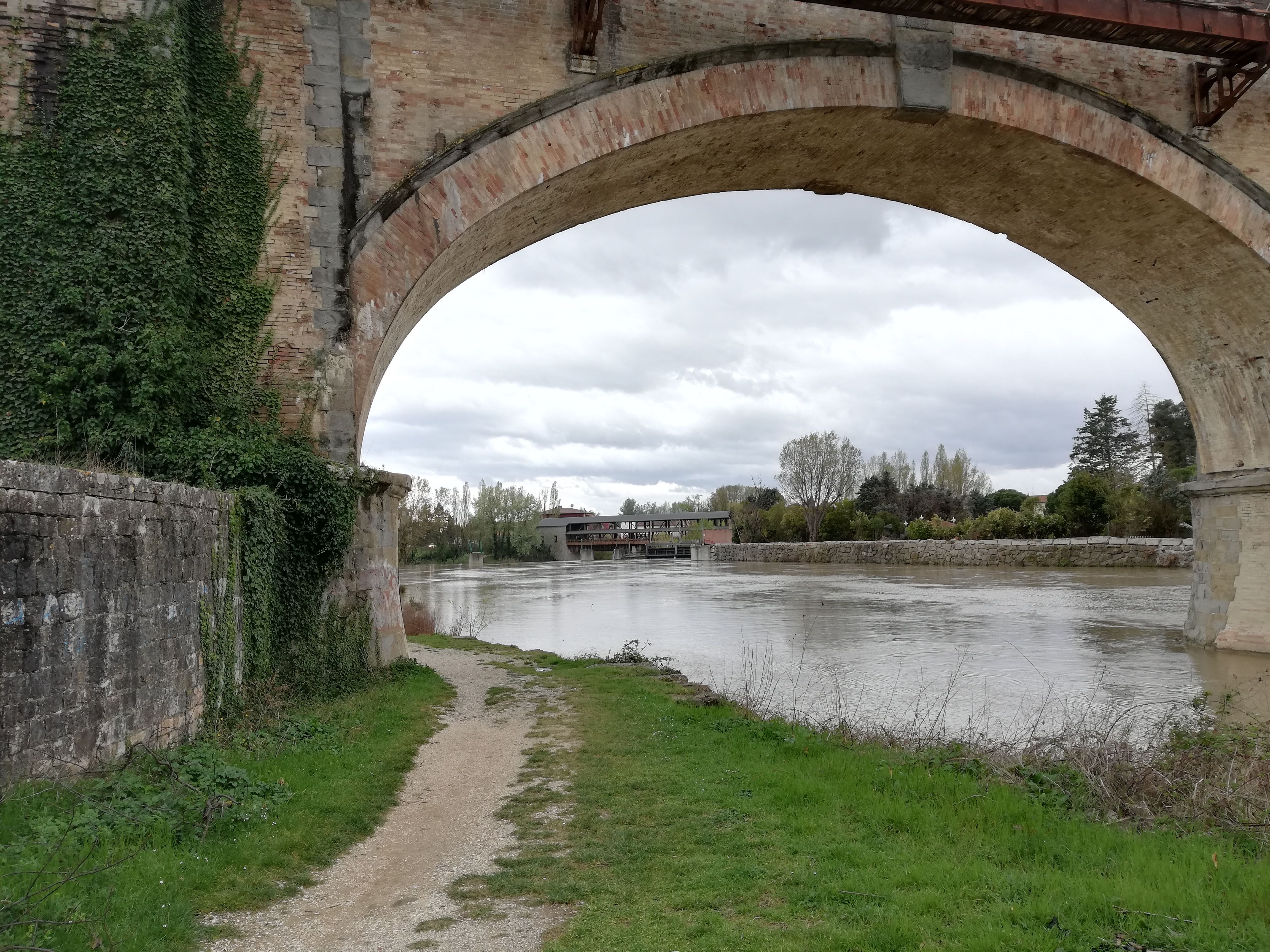 Cycle route passing under a railway bridge with the Tiber River on the right