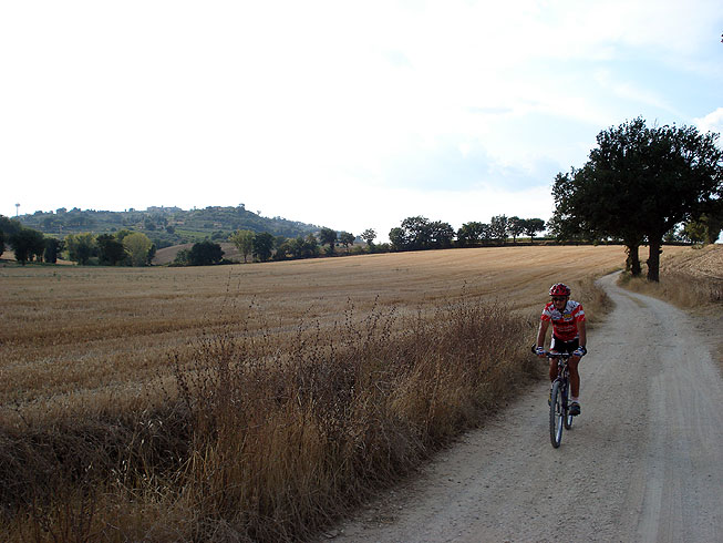 The Sagrantino wine trail and the views from Montefalco