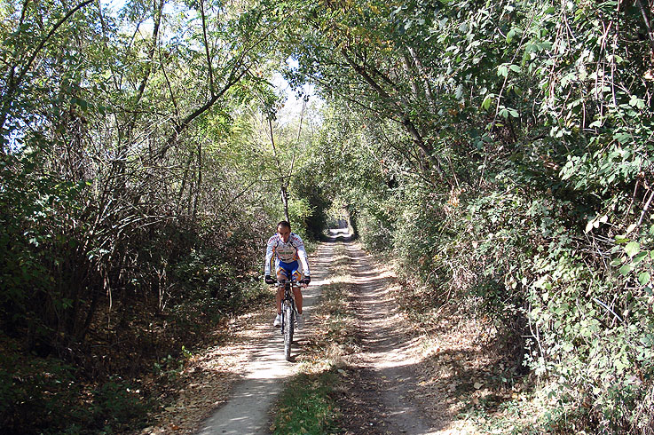 Along the shores of lake Trasimeno between Castiglione and Tuoro