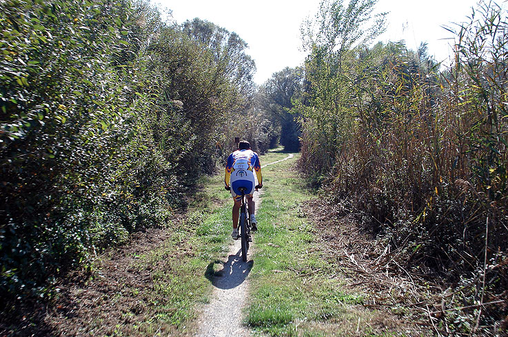 Along the shores of lake Trasimeno between Castiglione and Tuoro