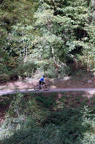 Immagine senza titolo