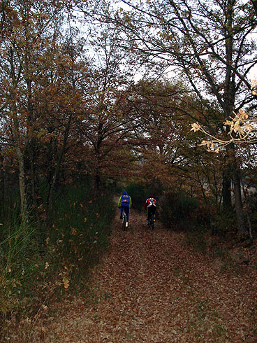 Immagine senza titolo