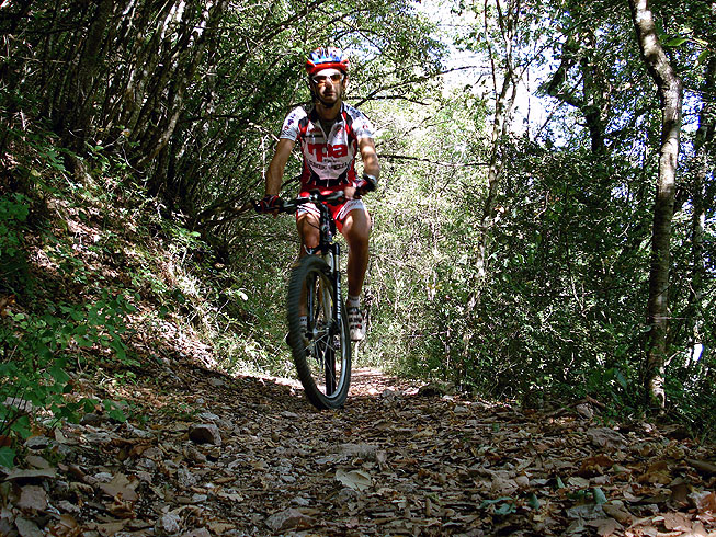 Immagine senza titolo