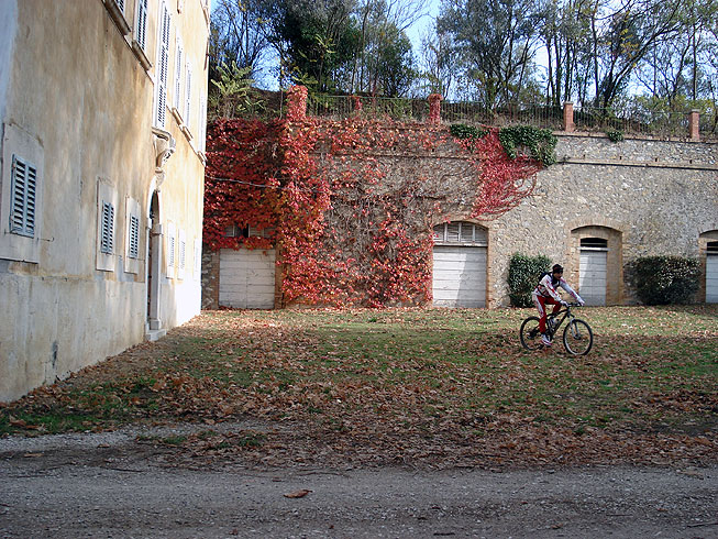 Lake Corbara and the woods of Monte Peglia