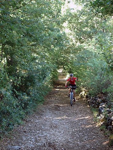 Cascia: Wiesen und Wälder auf den Bergen der hl. Rita