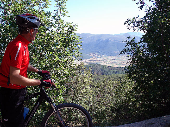 Immagine senza titolo