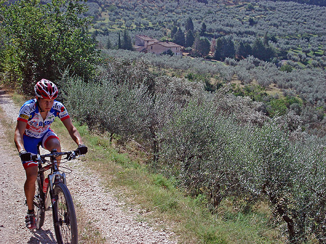 Assisi, Spello and the steep slopes of Mt. Subasio