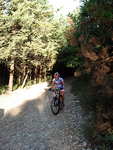 Immagine senza titolo