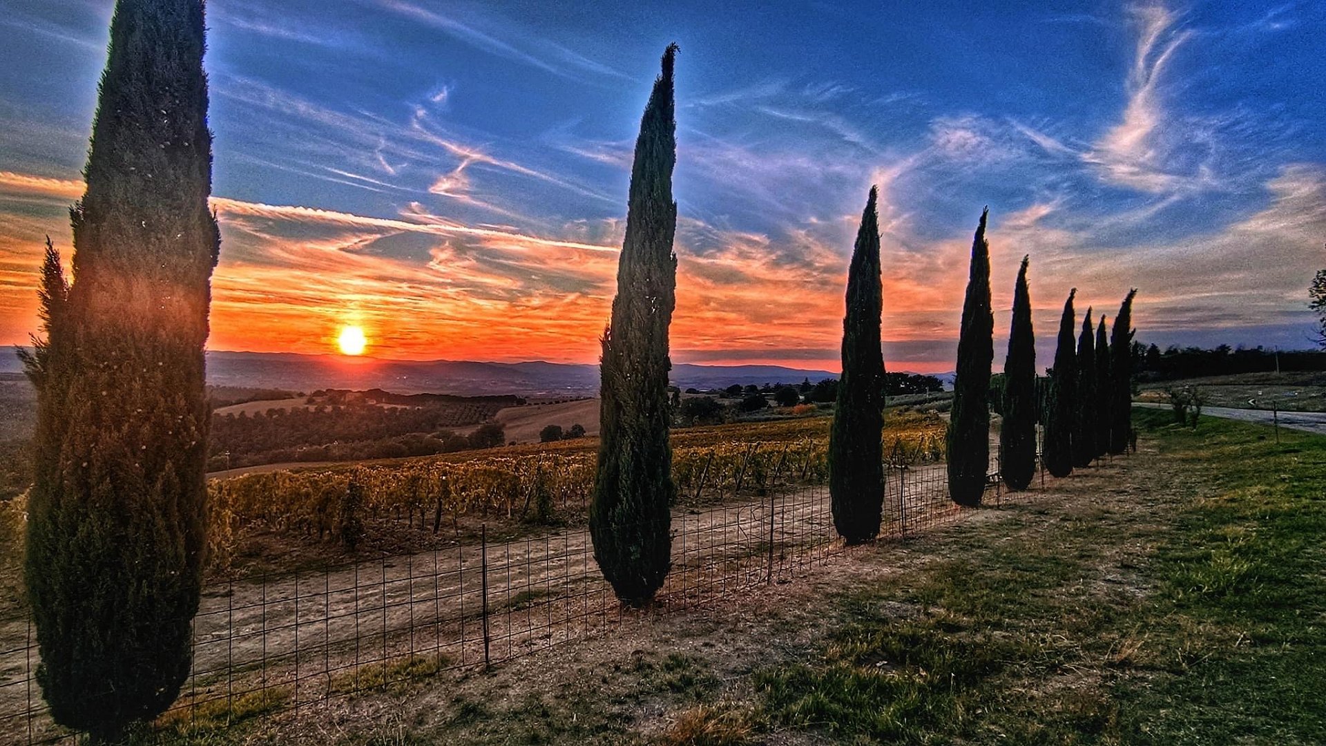 Collazzone - Torgiano - Collazzone