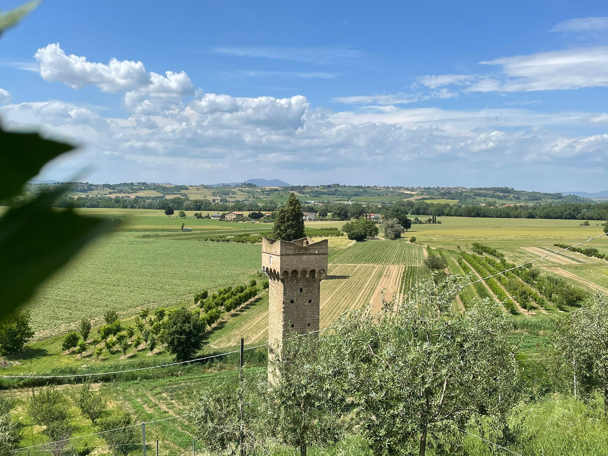 Torgiano - Bettona - Torgiano Trip