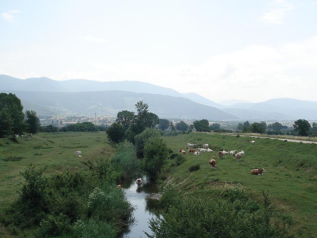 Montefalco and the Sagrantino wine road