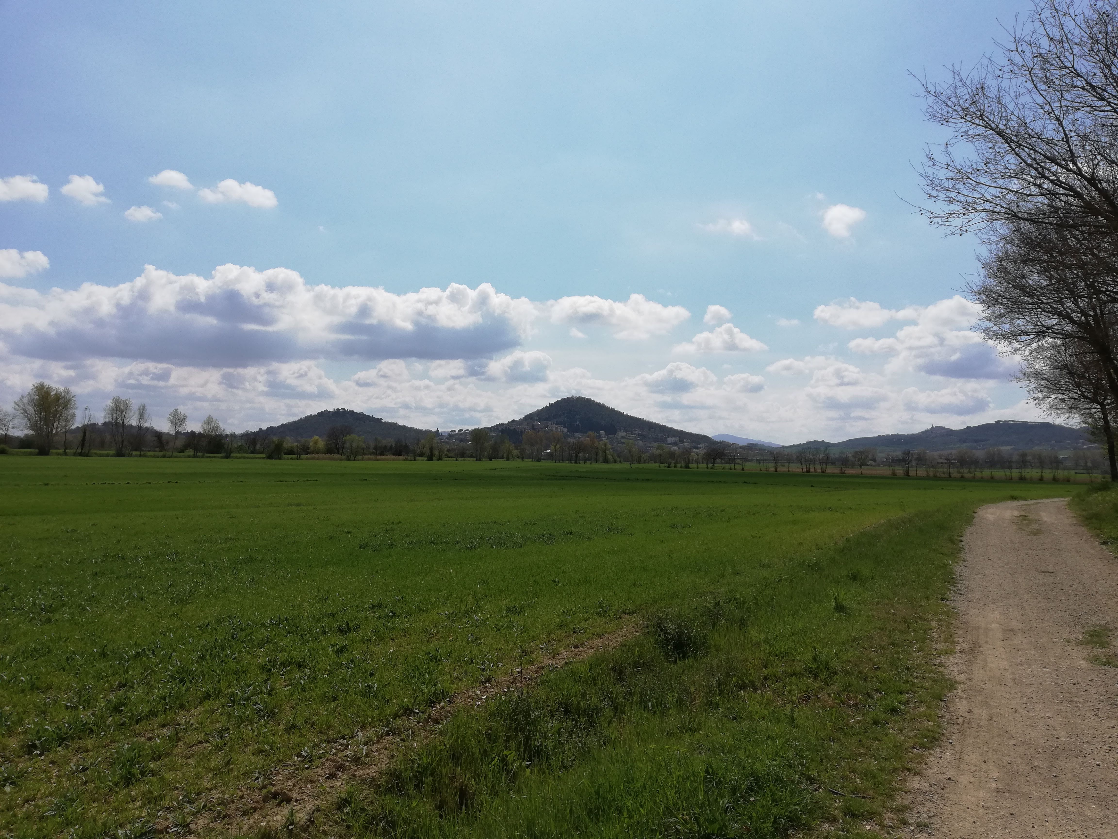 Immagine senza titolo