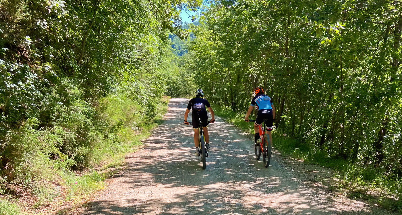 MTB